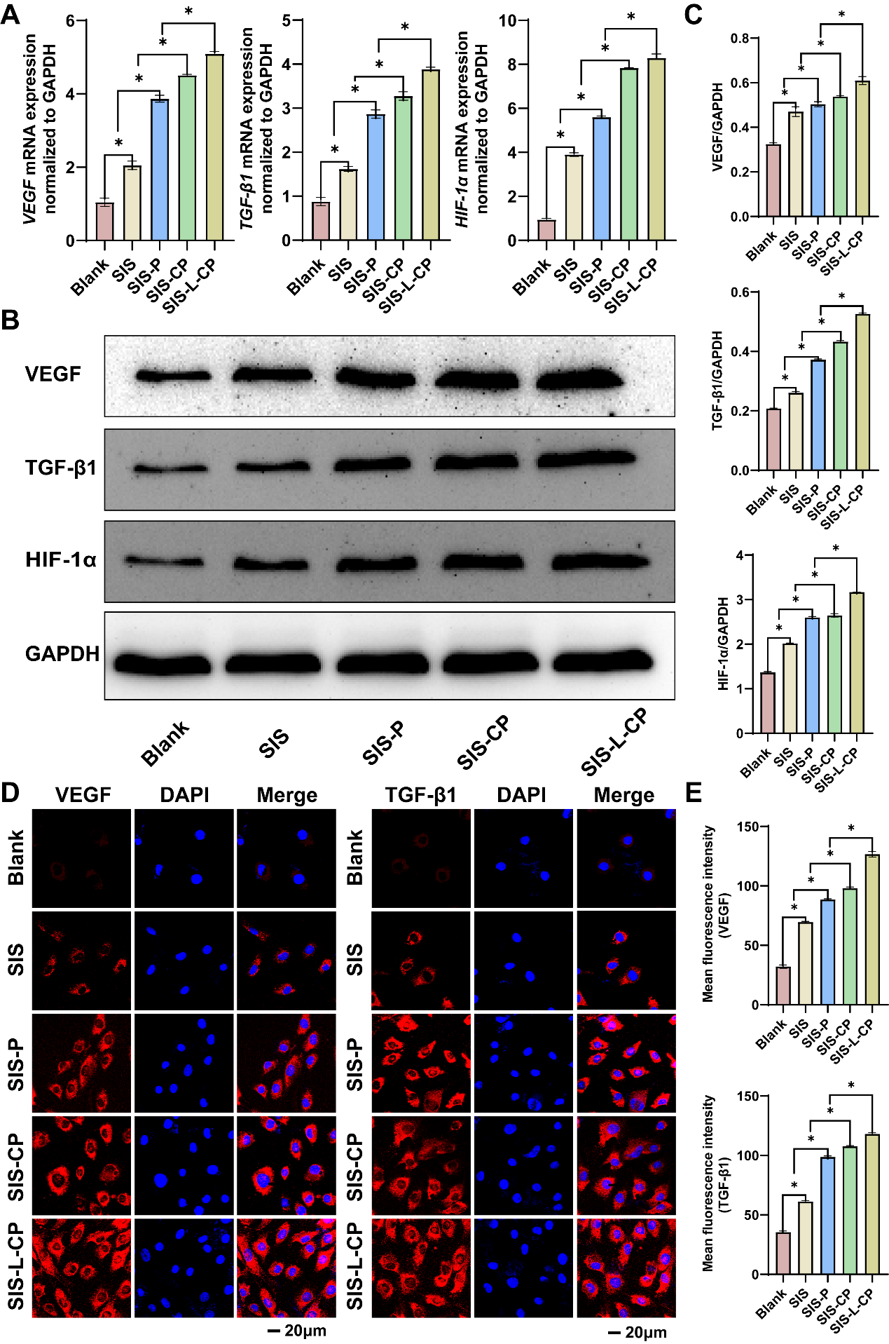 64212eac652b8.png 微信图片_20230324163121.png