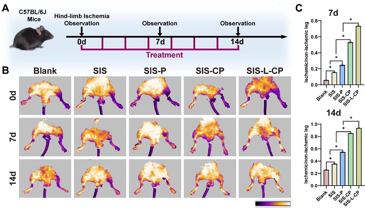 64212ed50ef83.png 微信图片_20230327133937.png
