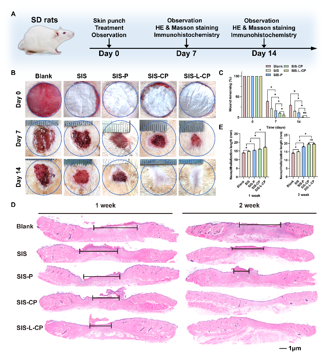 64212eebc3a86.png 微信图片_20230324175719.png