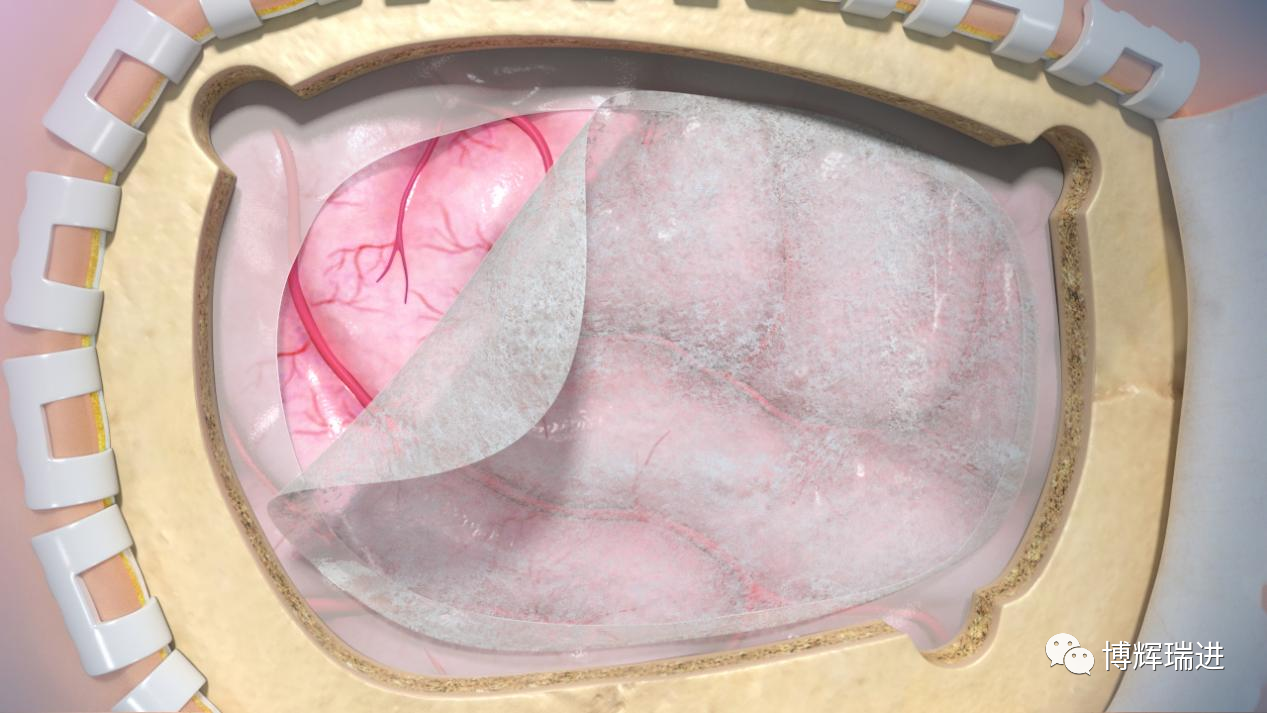 658d354c15d50.png 微信图片_20231228164251.png